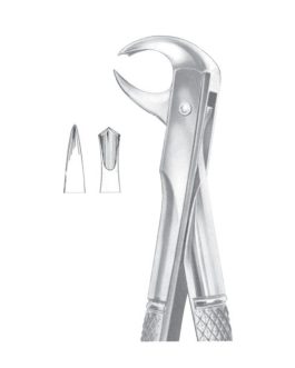 Fig. 99 1-4 Lower Molars